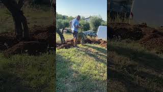 What is he doing? No plough @Brambletye #ytshorts #soil #diy #garden