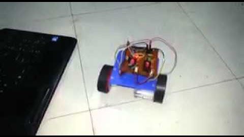Voice controlled robot
