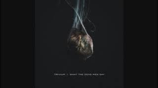 Trivium - Scattering the Ashes (8-bit instrumental)