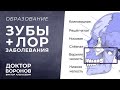 Как состояние зубов влияет на ЛОР-органы. Гайморит?