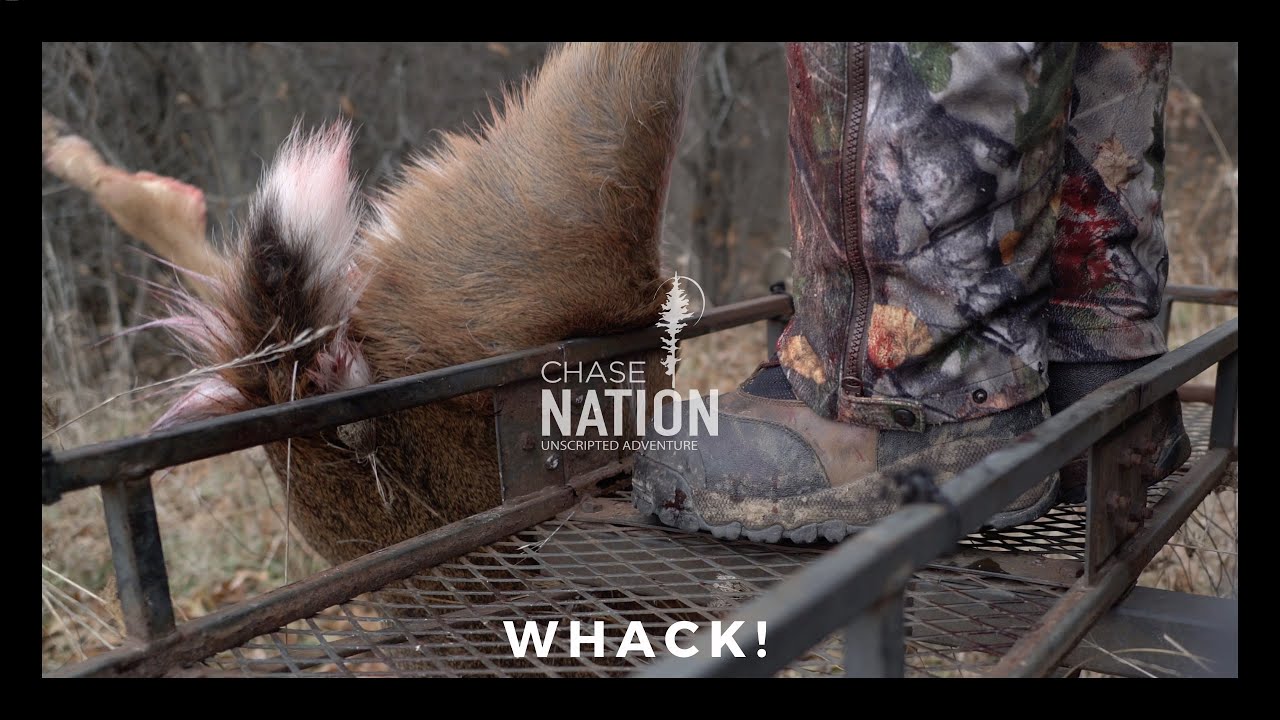 BOW KILL DURING GUN SEASON Deer Hunting S3E21 YouTube