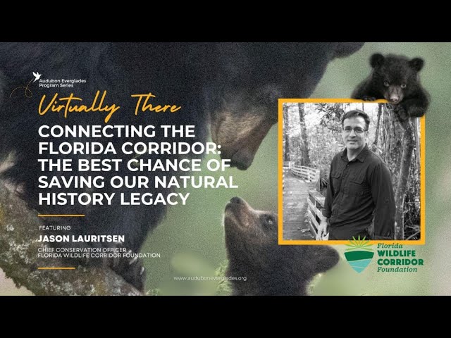Connecting The Florida Corridor - Saving Our Natural History Legacy: Featuring Jason Lauritsen