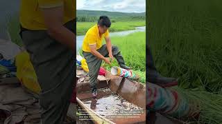 Fisherman's Haul: Transferring a Massive Catch of Small Fish into a Boat