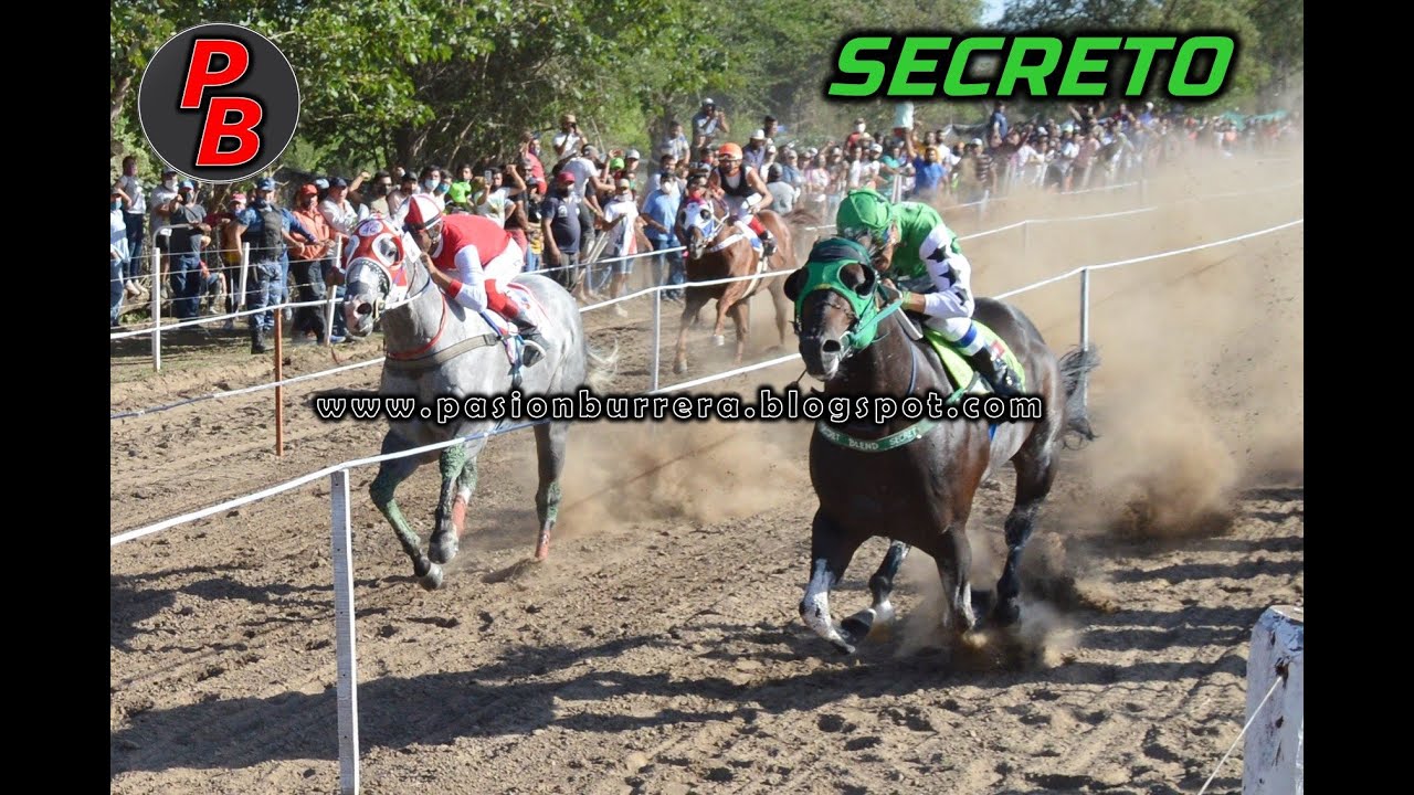 Secretos de carreras de caballos