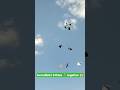 8 kites vs Giant Kite 🪁 flying experiment from rooftop #shorts