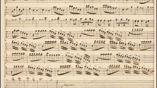 VIVALDI | Early Violin Concerto | RV 175 in C major | formerly RV Anh. 104 | Vienna manuscript