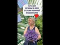 Выбирайте колоду Таро и узнайте совет на пятницу 28 июля от Елены Насоновой #советдня #картадня