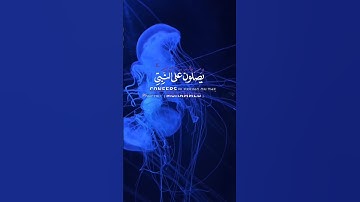 قران كريم بصوت جميل #قران_كريم #قرآن #quran #اكسبلور #دويتو