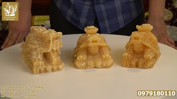 Long Quy Phong Thủy | Rùa Đầu Rồng Ngọc Hoàng Long Vàng - M1786