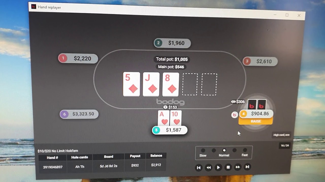 Bodog Bodog