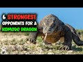 6 Most Ruthless Fights Of A Komodo Dragon