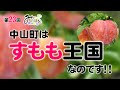 すもも王国中山町！すももと秋姫のヒミツ
