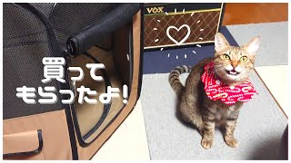 【開封】猫の留守番にもオススメ！折りたためるペットサークル（ポータブルケージ）【アイリスオーヤマ】