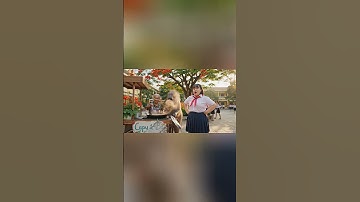 Capy bán cá viên chiên cùng Bà #capybara