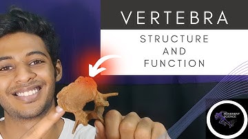 VERTEBRA STRCTURE AND FUNCTION(Biomechanics of spine)Physiotherapy Tutorial