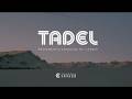 TADEL|| 07 DE JUNHO 2026 II CCA