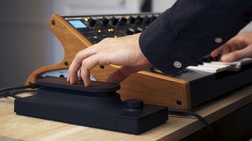 Touché & Moog Sub 37 : Percuss Dub