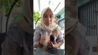 Download Lagu Katakan Lah sejujurnya MP3 Download Lagu Katakan Lah sejujurnya MP3