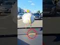 Bird Surprises Mad Man