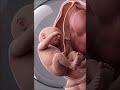 3D early human development