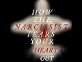 How the NARCISSIST Tears Your HEART Out