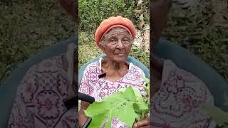 👉🏿 Grandma says THIS is the BOSS remedy for Colds! #cough #coldremedies