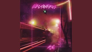 Video thumbnail of "Electrobirds - Тіні"