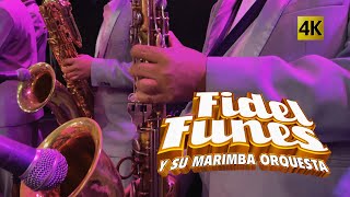 Fidel Funes Y Su Marimba Orquesta - El Sabor Continua 4K