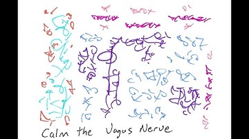 Light Language Blessing: Calm the Vagus Nerve