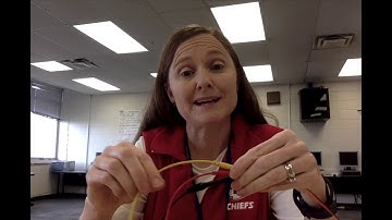 Connecting a buzzer, light, and servo to a microbit