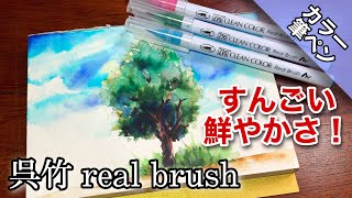 【画材紹介】呉竹 realbrush（リアルブラッシュ）水彩画のような水性インク筆ペン！つらら庵