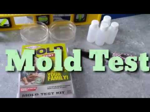 DIY Mold Test Kit, Pro-Grade