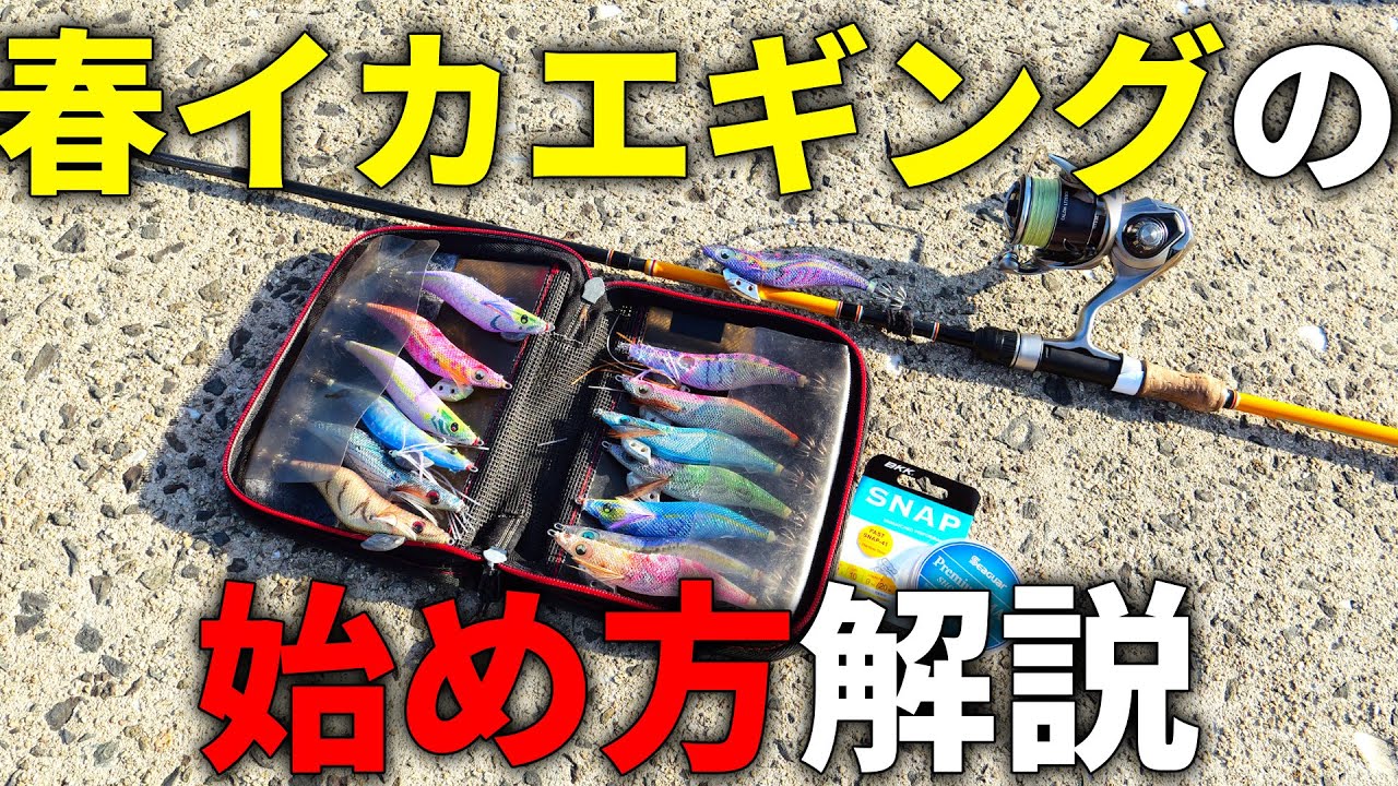 初心者必見、春イカエギングの始め方！狙えるシーズンや揃えるべき道具、個人的オススメを細かく解説します！！