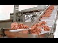 Inside A VEGAN MEAT FACTORY