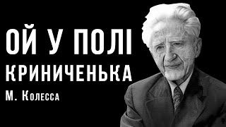 «Ой у полі криниченька» | Микола Колесса | Ембієнт