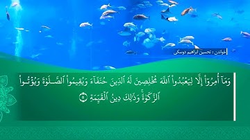تحسين ابراهيم دوسكي - تەفسیرا سورة البينة
