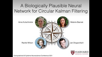 A Biologically Plausible Neural Network for Circular Kalman Filtering