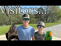 Whos our visitors bluegabe monkeys animals