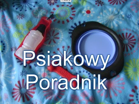 Wideo: W Jaki Dzień Upałów Przyprowadzić Psa?