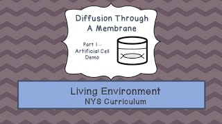 Diffusion Through A Membrane Part 1