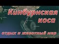 Кинбурнская коса (отдых и животный мир)