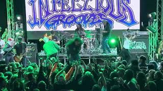 Infectious Grooves - Infectious Grooves - Live at Garden Amp 3/24/24