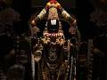 The Divine Darshan of Lord Venkateswara 🙏✨ #shorts #tirupati #tirumala