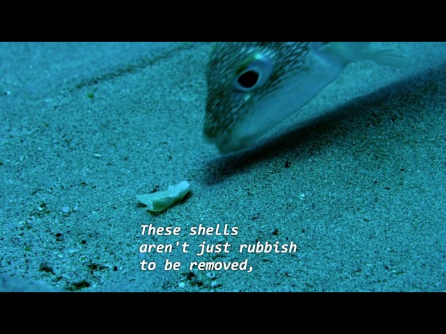 strangest things people have