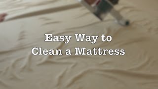 You need to clean your mattress. here's the easy way do it. all is a
vacuum with an upholstery attachment or dedicated one like dyson v6
ma...