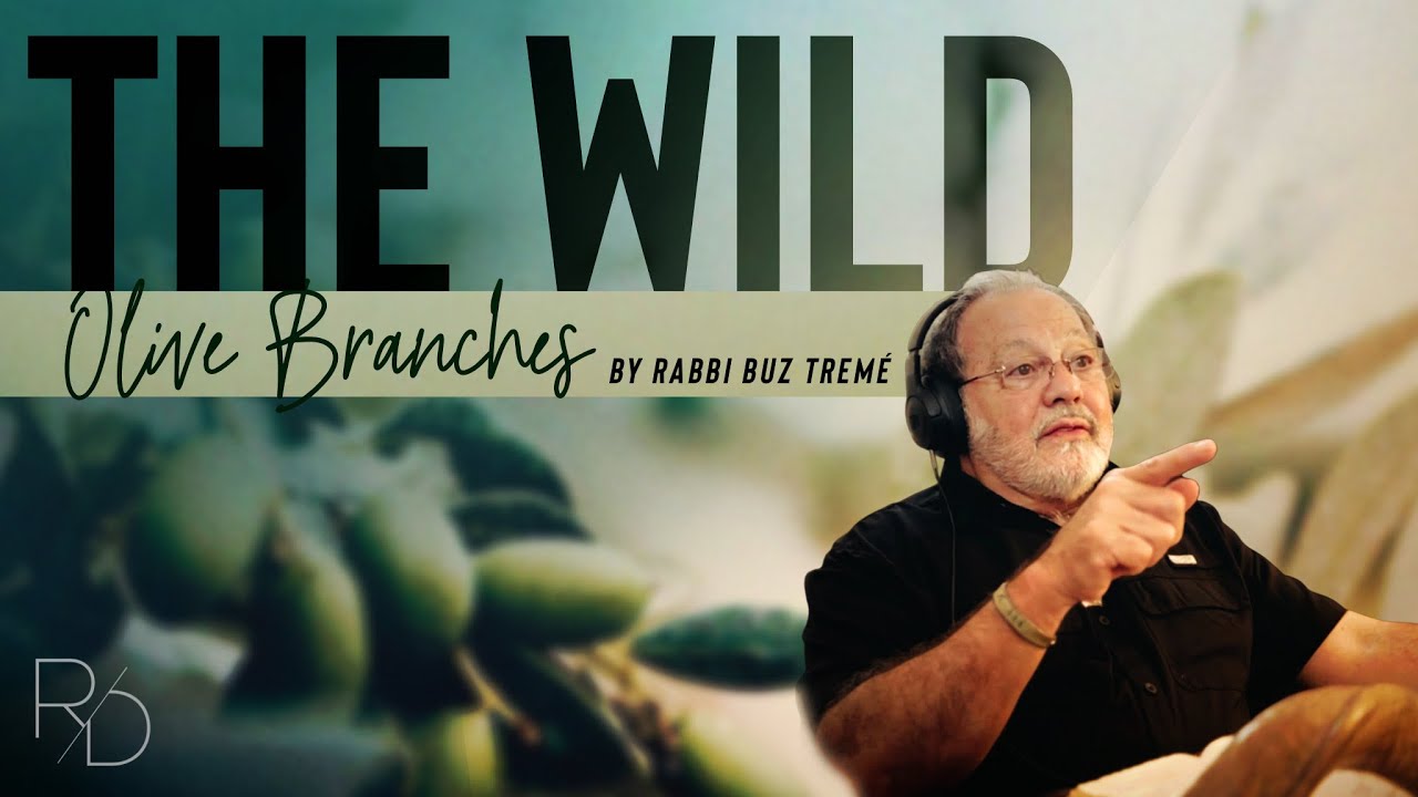 "The Wild Olive Branches" | By Rabbi Buz Tremé