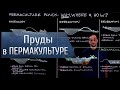 Пруды в ПЕРМАКУЛЬТУРЕ!