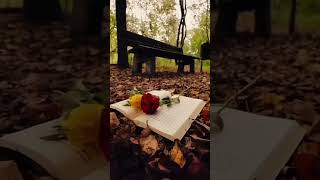 Hangi Kelimeler Anlatır Bendeki Seni Resimi