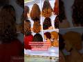 Vos perruques sont disponibles peut importe la qualité que vous désirez #perruque #womanhair #hair
