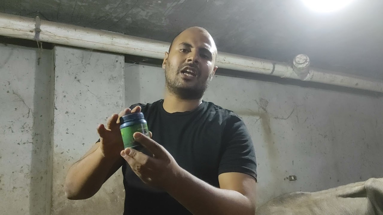 افضل علاج للقوب والجرب والقشره علي عجول التسمين البقر والجاموس